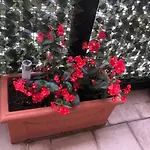 Casa Chiara Italia terrace centro direzionale